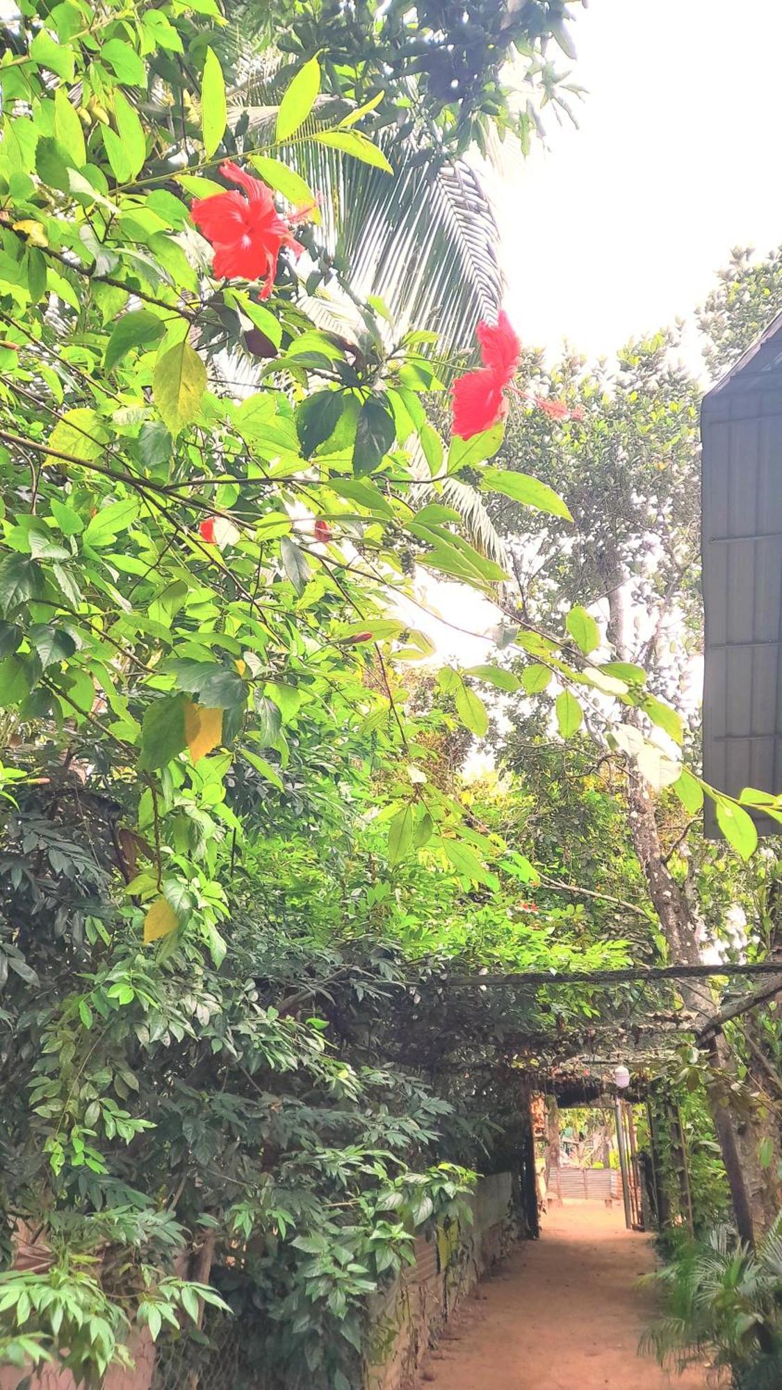 Sok Phen Homestay Siem Reap Dış mekan fotoğraf