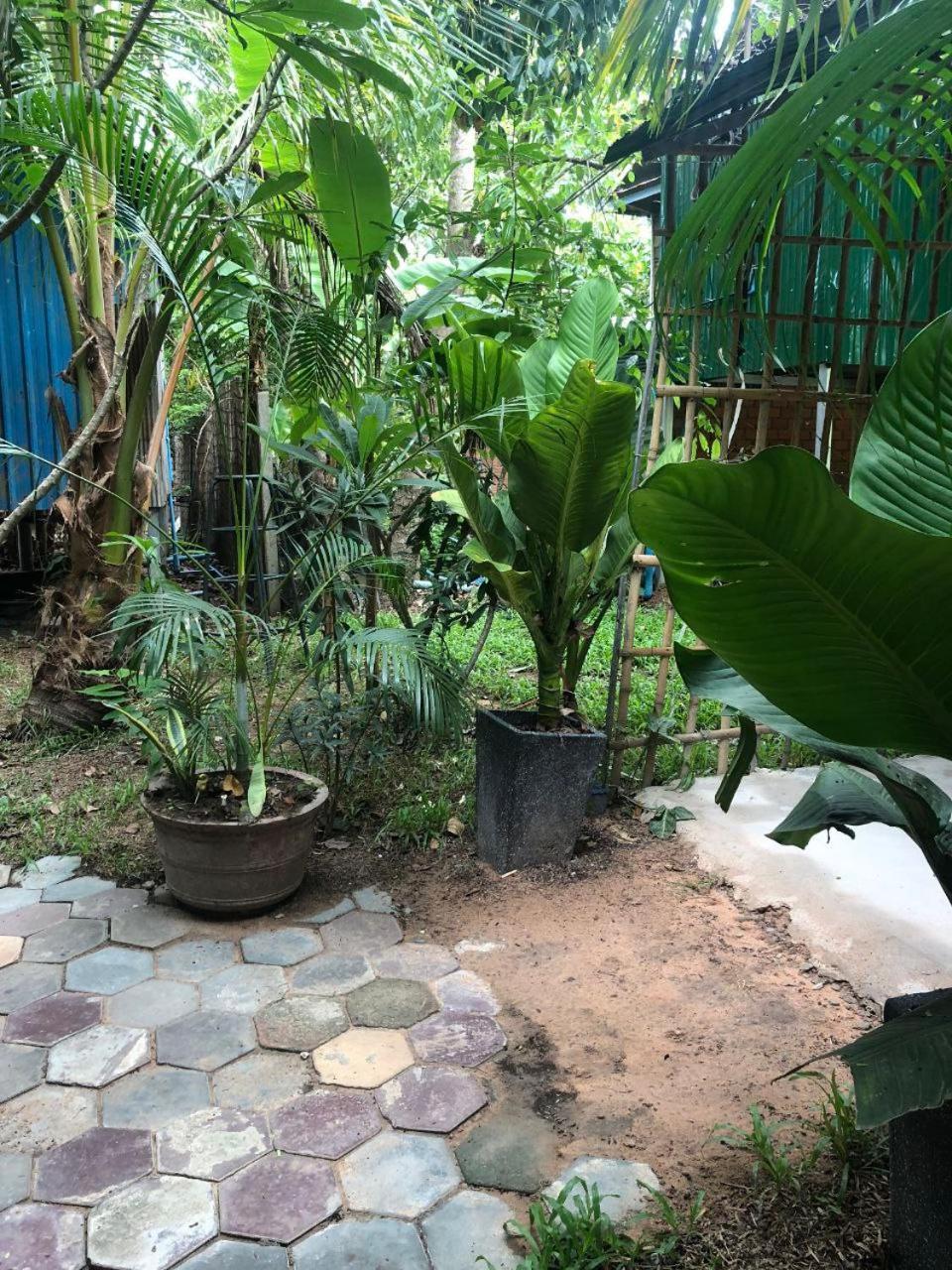 Sok Phen Homestay Siem Reap Dış mekan fotoğraf