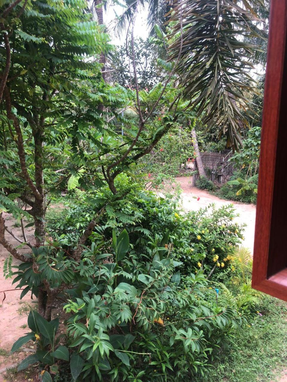 Sok Phen Homestay Siem Reap Dış mekan fotoğraf